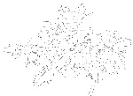 牡丹线稿图矢量素材[AI