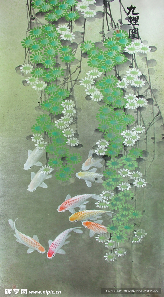 鲤鱼图