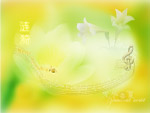 涟漪