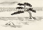 古代风景