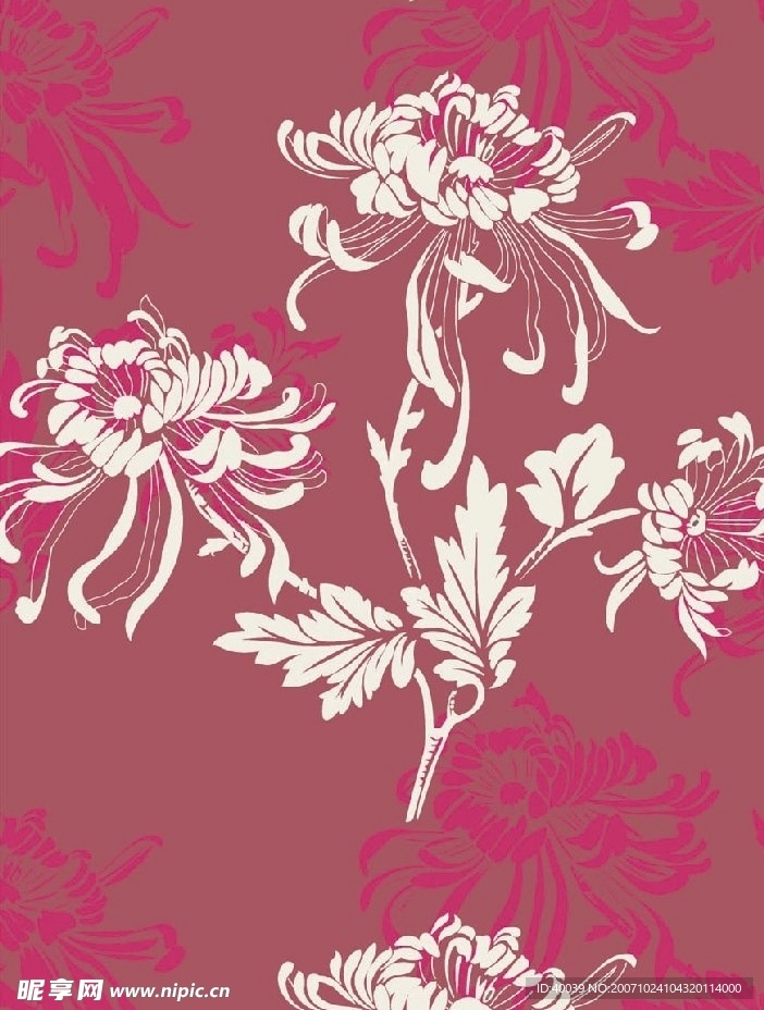 菊花