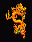 中华极品龙