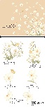 时尚蝴蝶与兰花psd分层素材