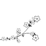 非主流透明花纹2