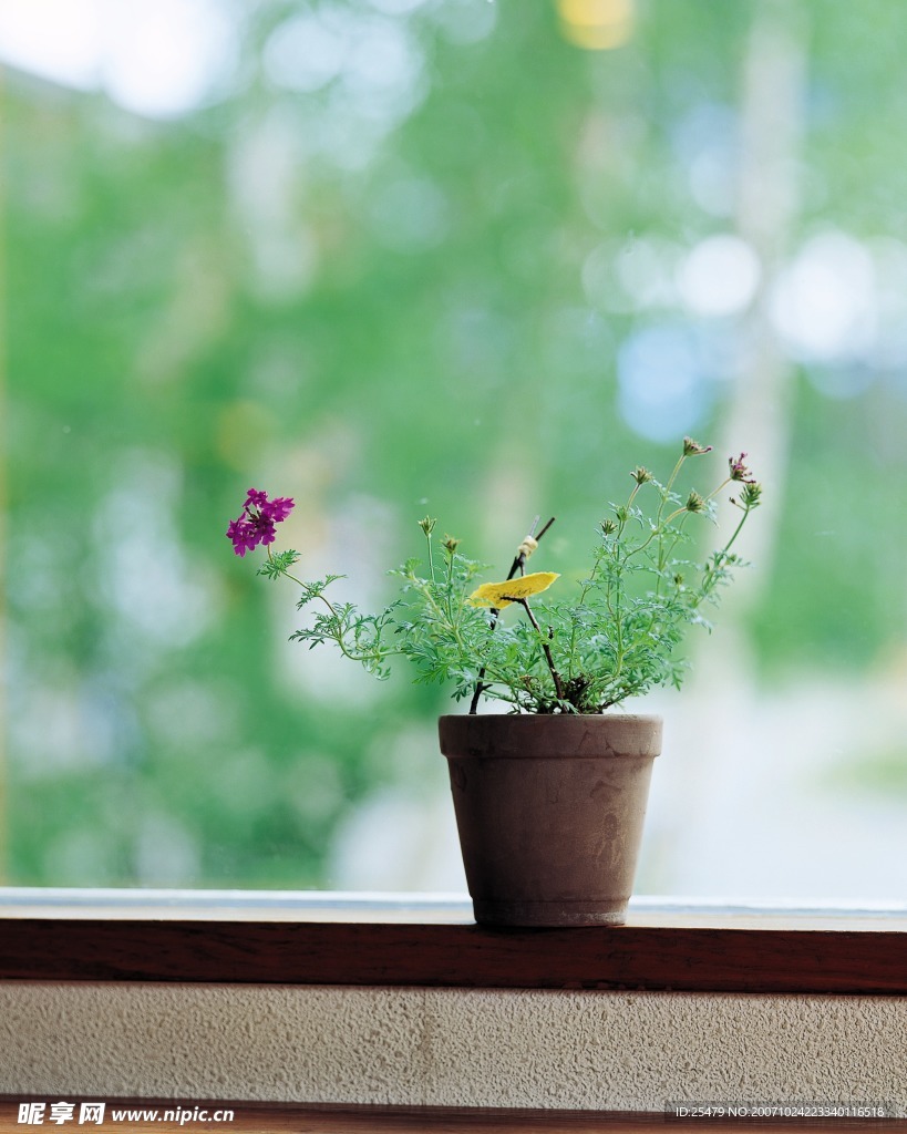花艺