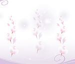 花2
