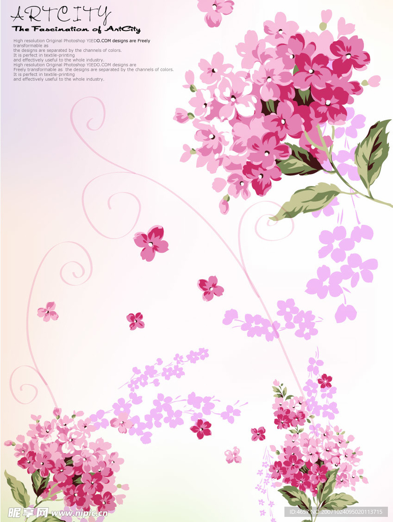 超级矢量50个-花朵矢量素材