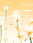 花5