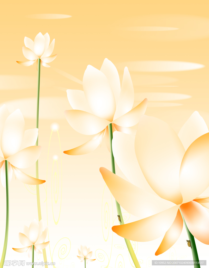 花卉背景