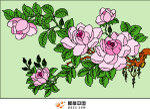 杜鹃花