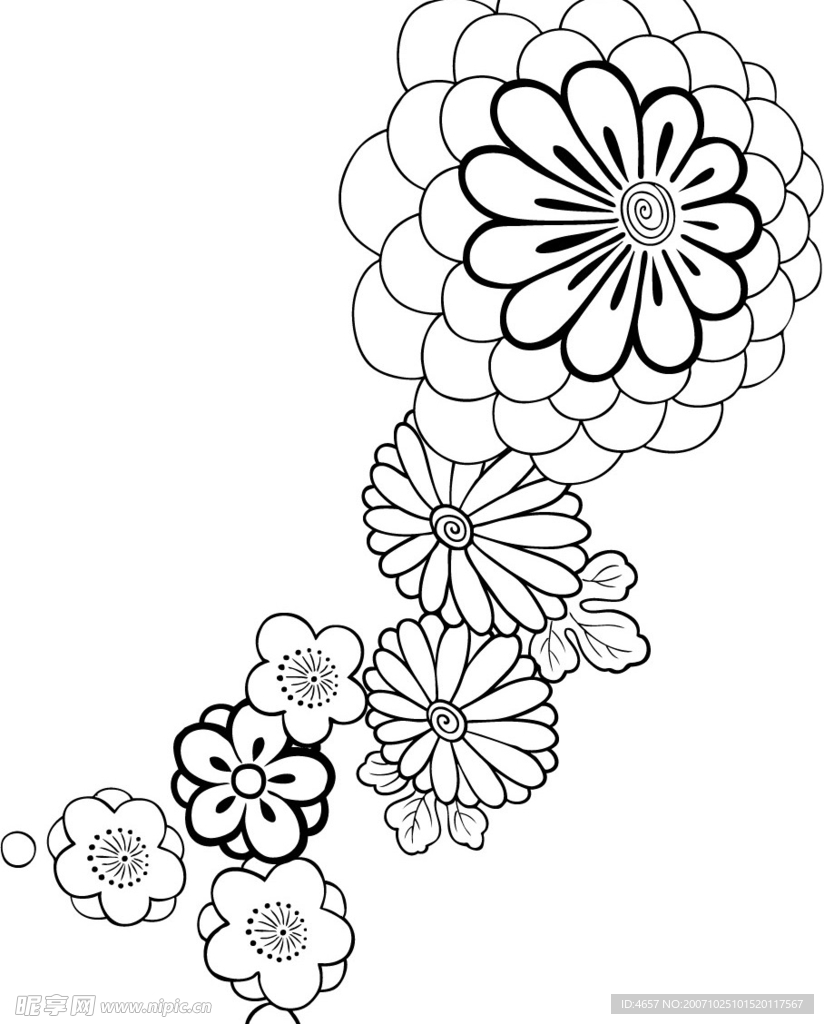 超级矢量50个-花朵矢量素材