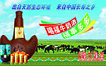 奶酒