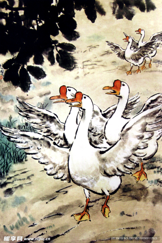 鹅闹