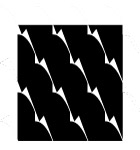 钉字斜纹.ai