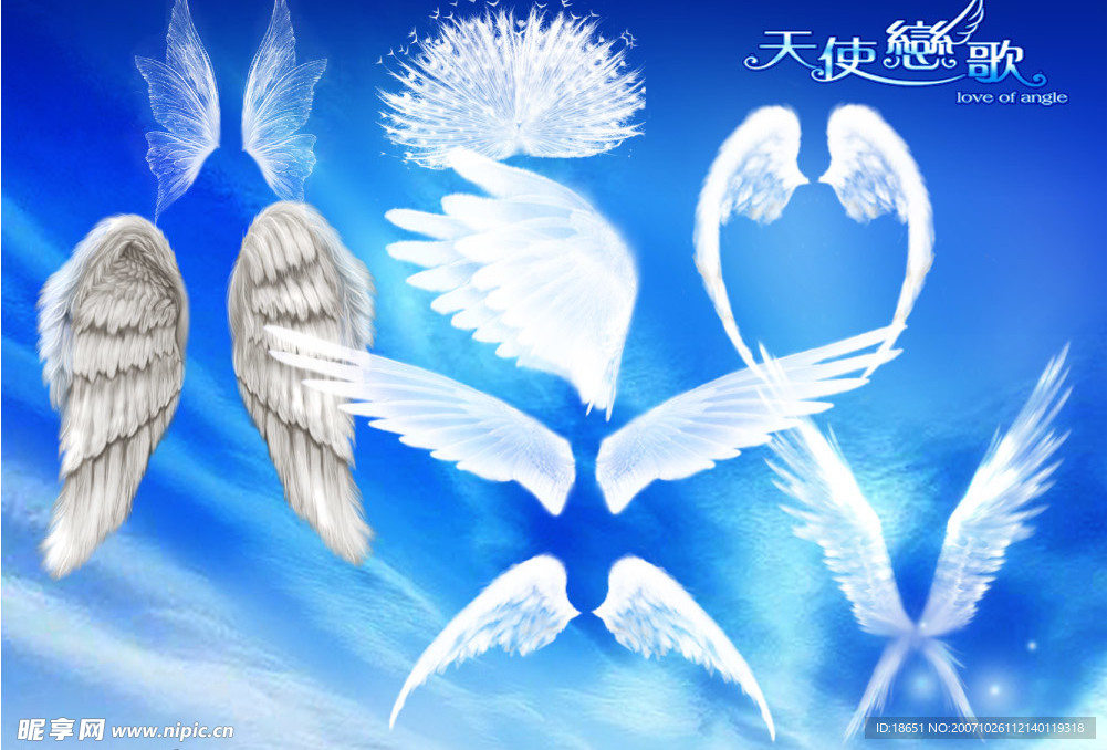 美工字体 天使翅膀