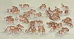 百字迎福