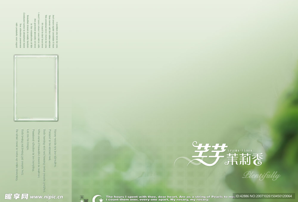 莉花宣传广告PSD版面模板