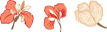 矢量花纹