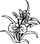 花纹