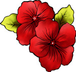 时尚潮流花纹
