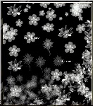 各种花瓣笔刷