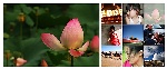新浪相册首页9格FLASH图片展