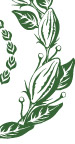 矢量稻穗麦穗花纹