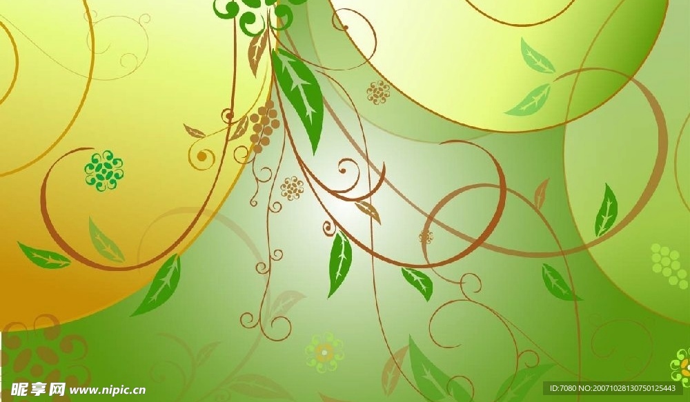 花纹