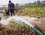 中国将大幅度提高农业灌溉用水效率