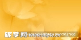 婚纱模版