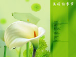 花素材2