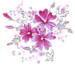 高清晰PSD鲜花素材