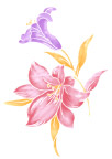 高清晰PSD鲜花素材