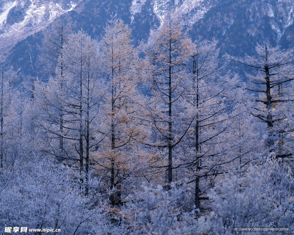 白雪天堂