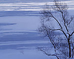 白雪天堂
