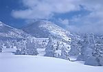 白雪天堂