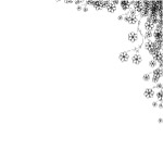 花纹