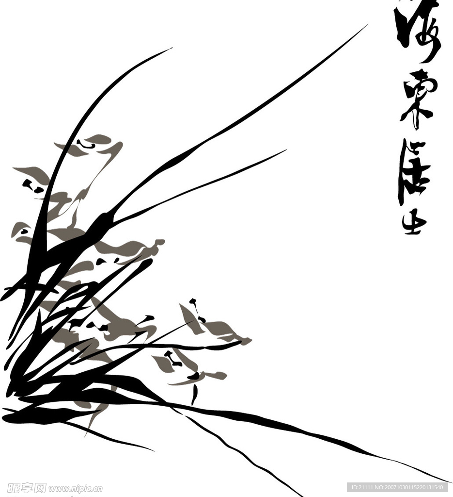 矢量兰花