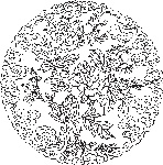 牡丹矢量