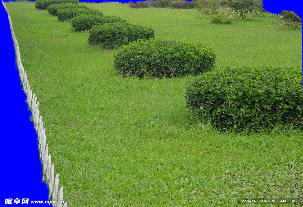 芳草殷殷2 PSD