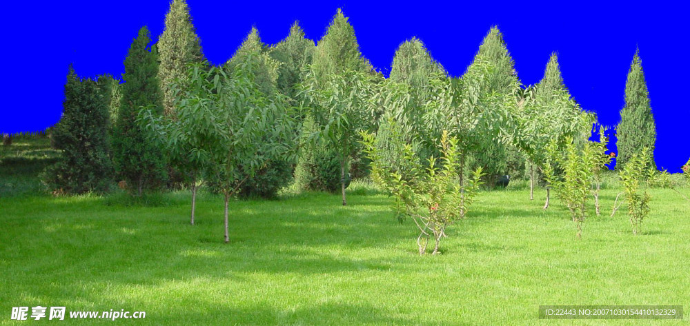 芳草殷殷4 PSD