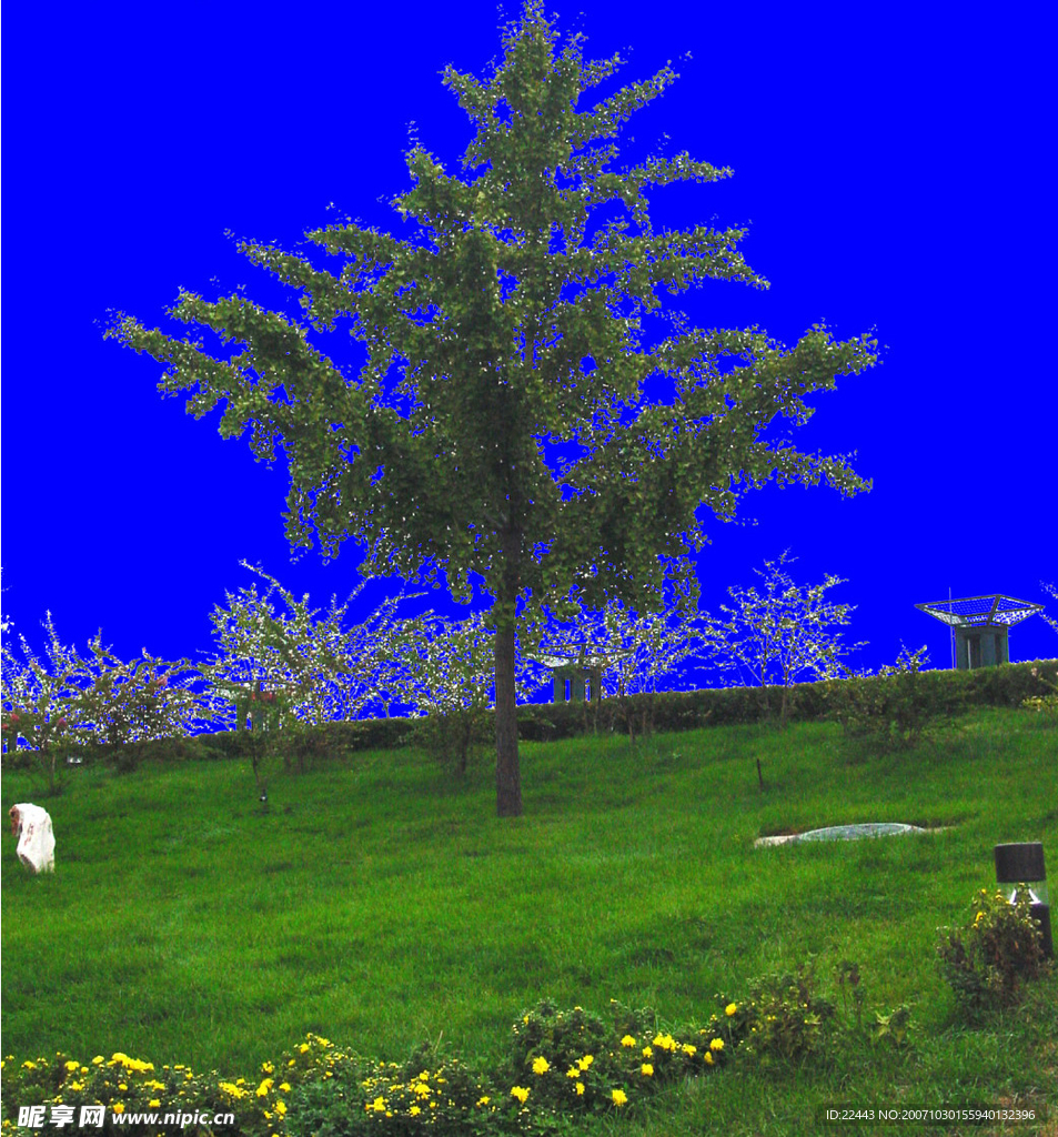 芳草殷殷7 PSD