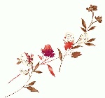 精美的花素材