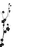 花纹