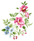分层花图