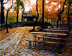 风景