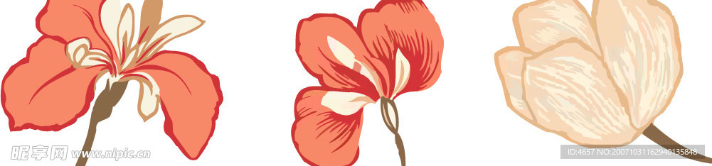 花朵底纹