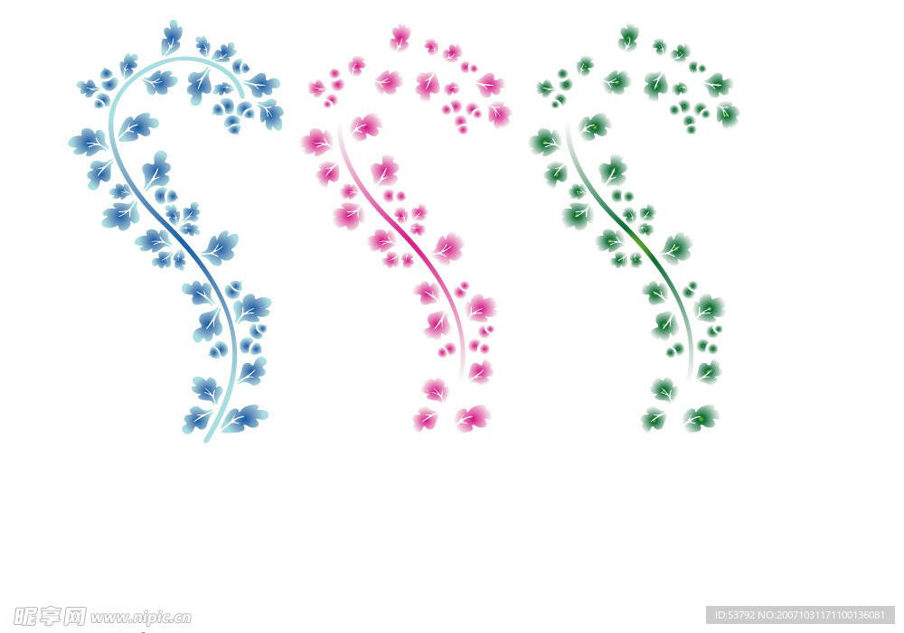 矢量花纹2