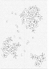 日本线稿花草