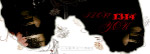 5201314（我爱你一生一世）婚纱模板